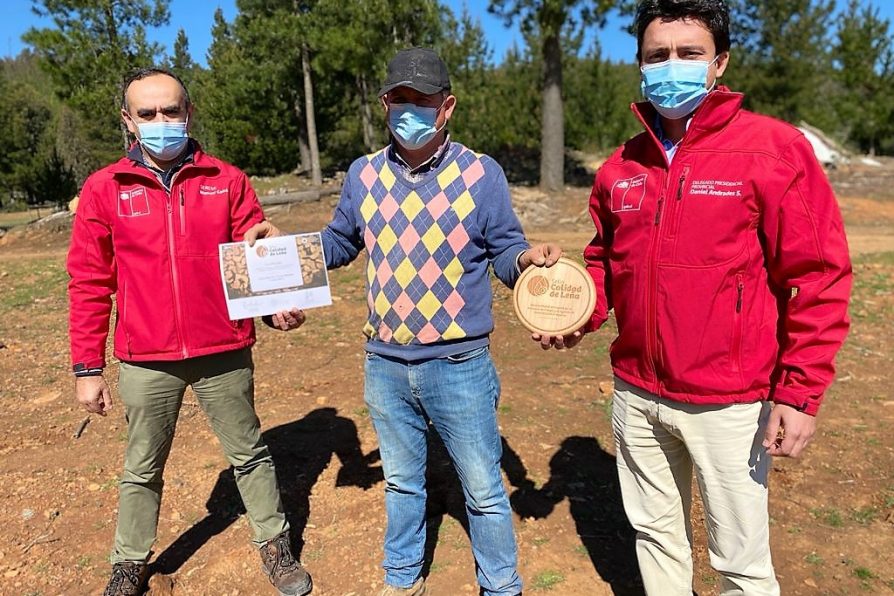 Productor de Quirihue recibe sello de calidad para promover el uso de leña seca