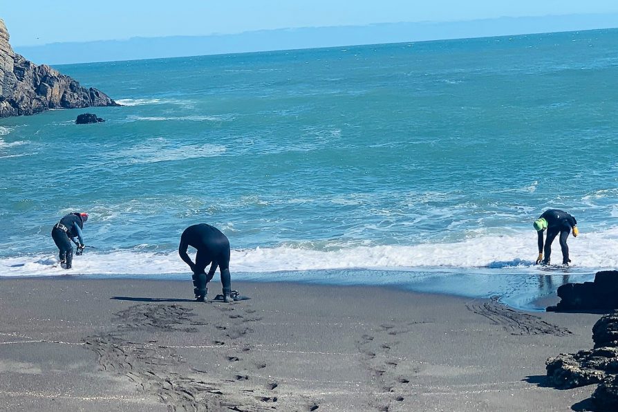 Con buzos y un robot submarino de bomberos se buscará aprovechar la baja marea en el octavo día de búsqueda en Cobquecura