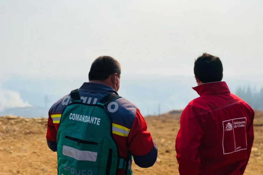 150 hectáreas han sido consumidas por incendio forestal en Ninhue