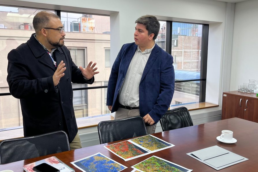 El Delegado Presidencial Mario Cruces Núñez sostiene reuniones clave en la subsecretaría de telecomunicaciones y energía durante su agenda en la región Metropolitana