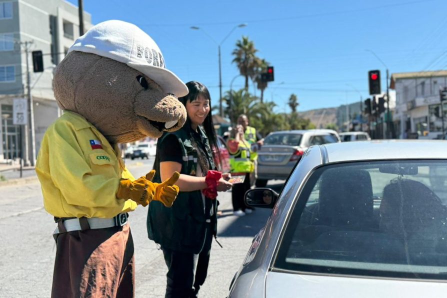 CONAF realiza operativo preventivo en principal arteria de la provincia de Itata